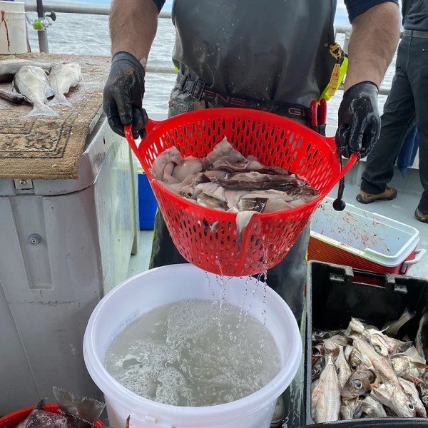 a person holding a basket of fish